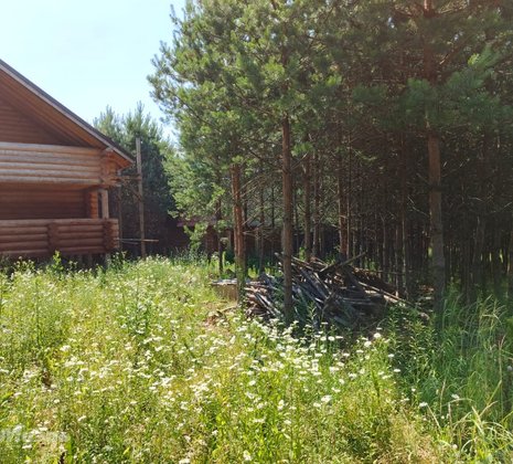 Тульская обл, Заокский р-н, село Покровское