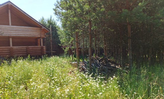 Тульская обл, Заокский р-н, село Покровское