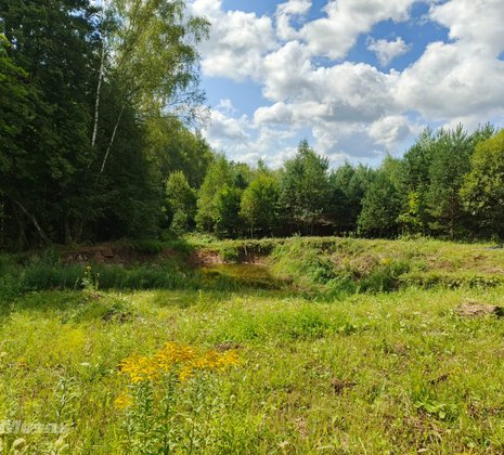 Тульская обл, Заокский р-н, село Покровское