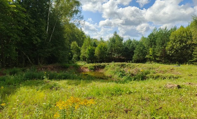 Тульская обл, Заокский р-н, село Покровское