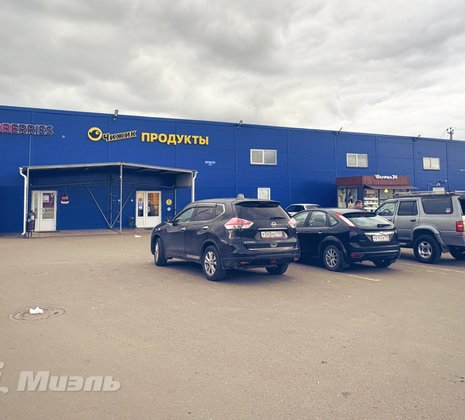 Московская обл, г Ногинск, село Кудиново, ул Грушевая, д 9