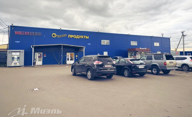 Московская обл, г Ногинск, село Кудиново, ул Грушевая, д 9