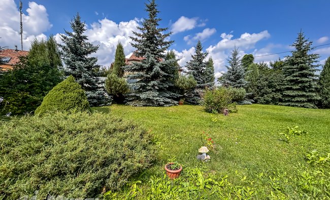 Московская обл, г Балашиха, деревня Дятловка, д 52Б