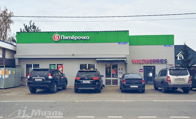 Московская обл, г Ногинск, деревня Вишняково, ул Школьная, уч 14А