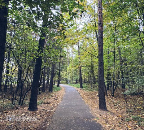 3-комнатная квартира в г. Балашиха