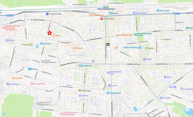 Московская обл, г Балашиха, мкр Ольгино, ул Главная, д 3