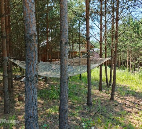Тульская обл, Заокский р-н, село Покровское