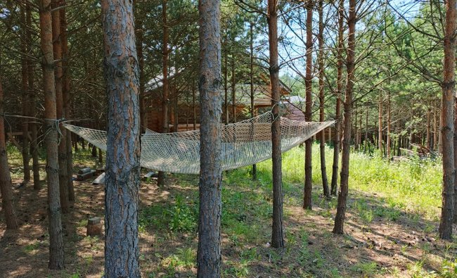 Тульская обл, Заокский р-н, село Покровское