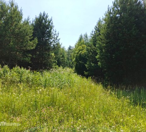 Тульская обл, Заокский р-н, село Покровское