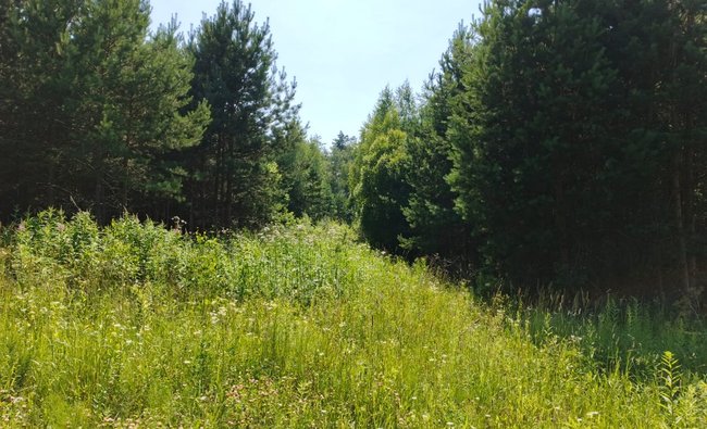 Тульская обл, Заокский р-н, село Покровское