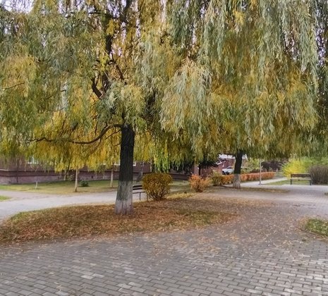 1-комнатная квартира в г. Балашиха