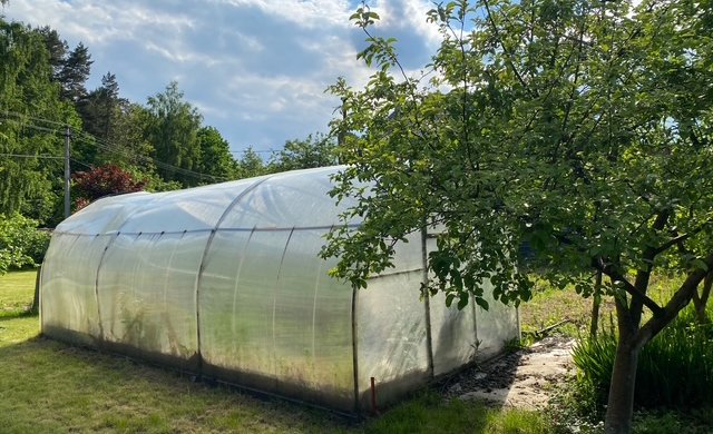 Московская обл, г Балашиха, тер СПО Бархат, д 81