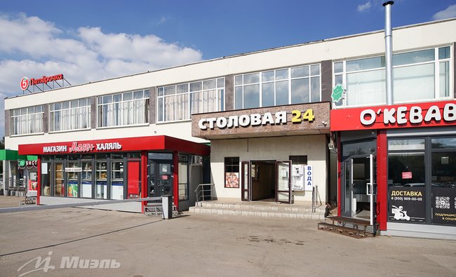 Московская обл, г Балашиха, деревня Соболиха, ул Новослободская, стр 17
