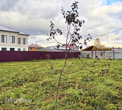Московская обл, г Ногинск, село Кудиново, ул Грушевая, д 9