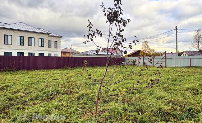Московская обл, г Ногинск, село Кудиново, ул Грушевая, д 9