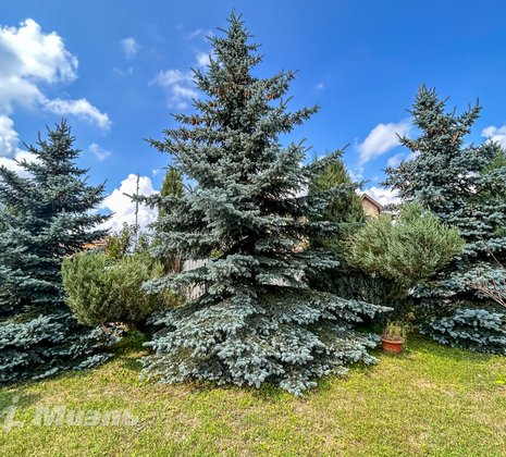 Московская обл, г Балашиха, деревня Дятловка, д 52Б