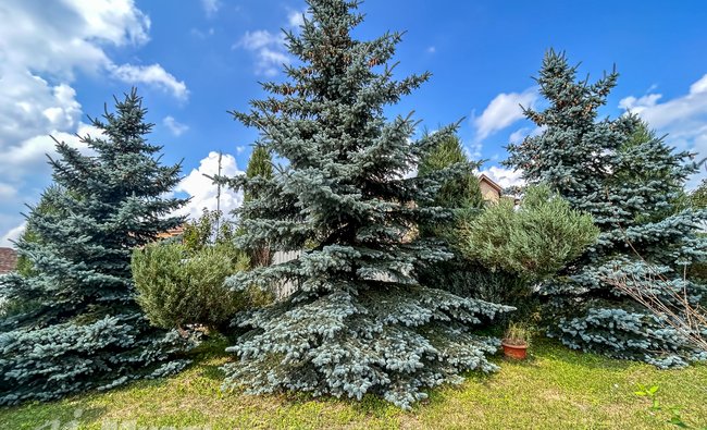 Московская обл, г Балашиха, деревня Дятловка, д 52Б