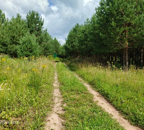 Тульская обл, Заокский р-н, село Покровское