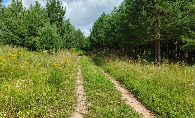 Тульская обл, Заокский р-н, село Покровское