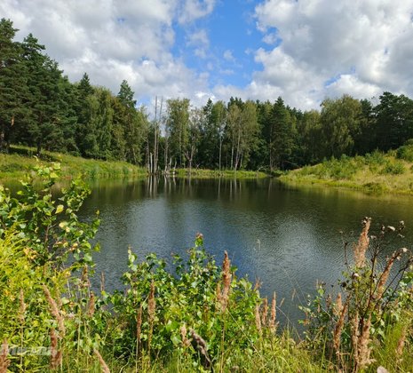 Тульская обл, Заокский р-н, село Покровское