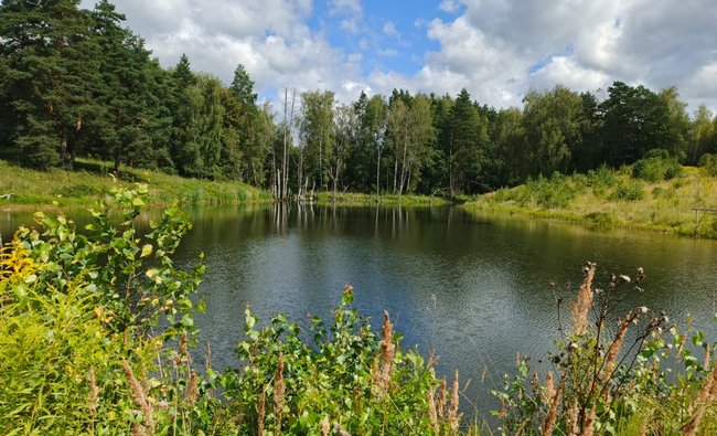 Тульская обл, Заокский р-н, село Покровское