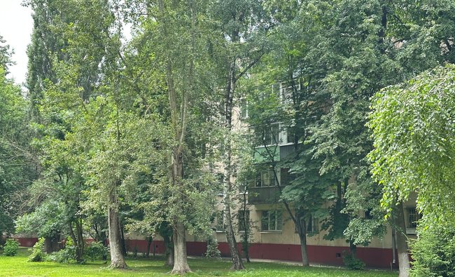 1-комнатная квартира в г. Балашиха