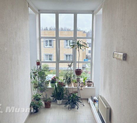 Студия в г. Балашиха