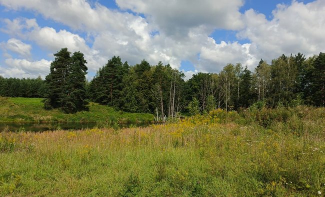 Тульская обл, Заокский р-н, село Покровское