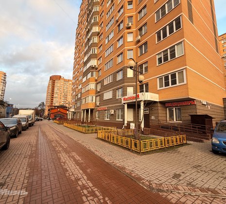 Московская обл, г Балашиха, мкр Ольгино, ул Главная, д 3