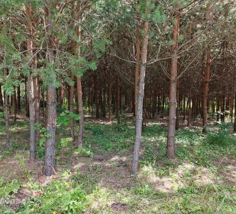 Тульская обл, Заокский р-н, село Покровское