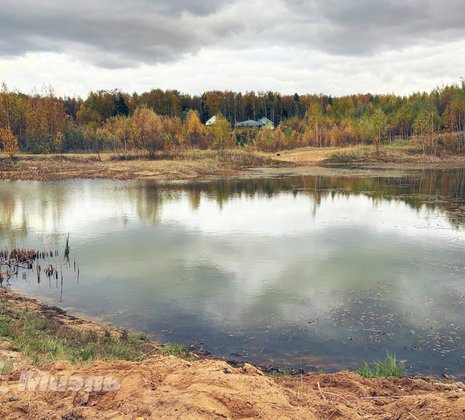 Московская обл, г Ногинск, село Кудиново, ул Грушевая, д 9