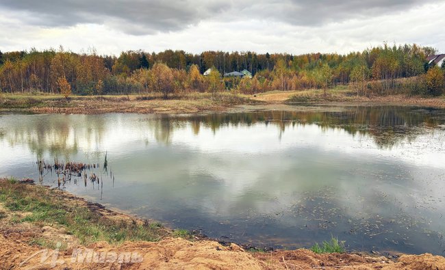 Московская обл, г Ногинск, село Кудиново, ул Грушевая, д 9