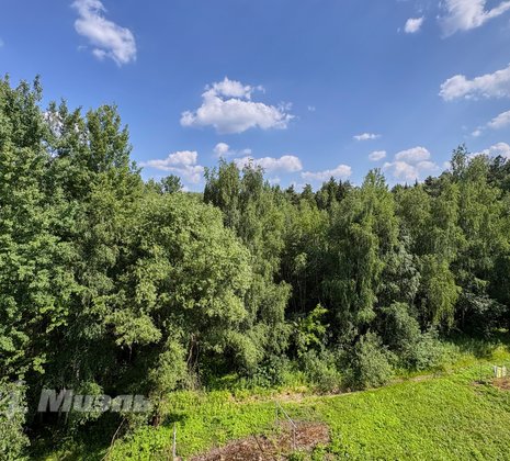 2-комнатная квартира в г. Электросталь