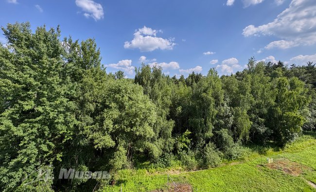 2-комнатная квартира в г. Электросталь
