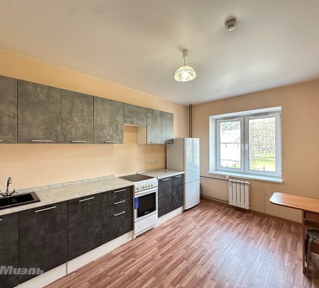 1-комнатная квартира в г. Балашиха