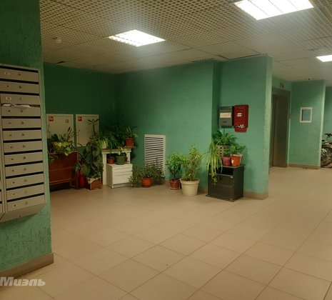 1-комнатная квартира в г. Москва