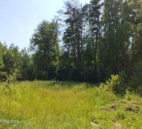 Тульская обл, Заокский р-н, село Покровское