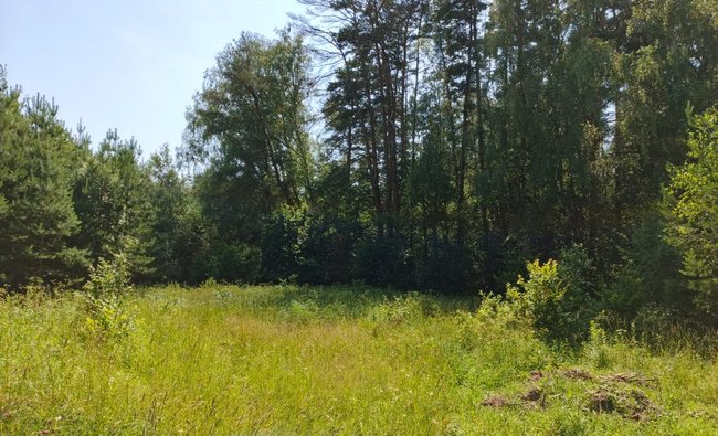 Тульская обл, Заокский р-н, село Покровское