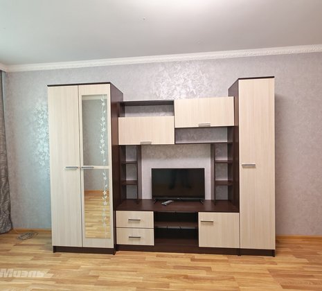 1-комнатная квартира в г. Балашиха