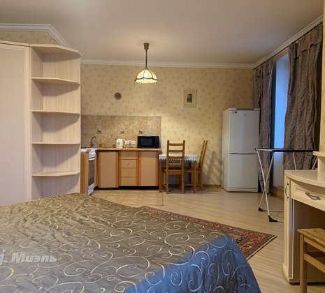 Студия в г. Балашиха