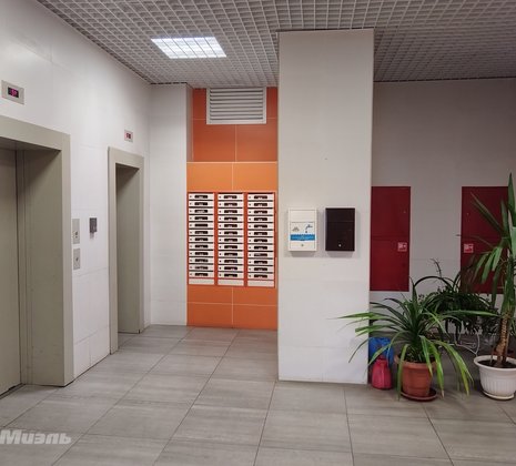 Студия в г. Балашиха