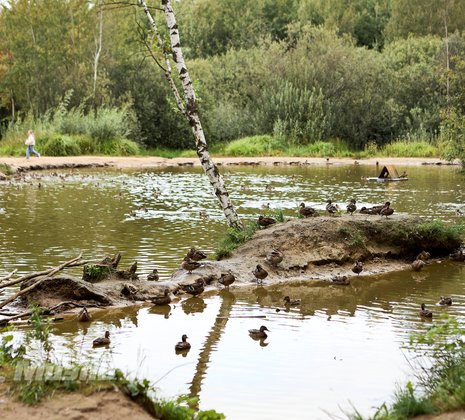 1-комнатная квартира в г. Балашиха