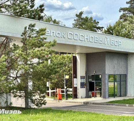 Московская обл, г Люберцы, тер ДНТ Сосновый бор, д 536