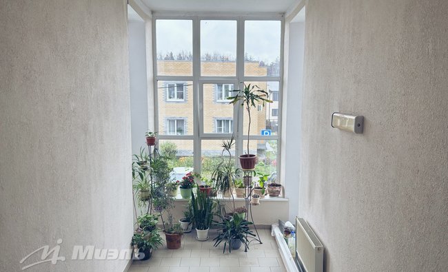 Студия в г. Балашиха