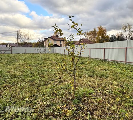 Московская обл, г Ногинск, село Кудиново, ул Грушевая, д 9