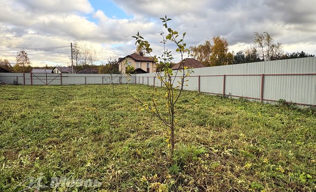 Московская обл, г Ногинск, село Кудиново, ул Грушевая, д 9