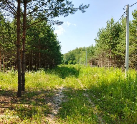 Тульская обл, Заокский р-н, село Покровское