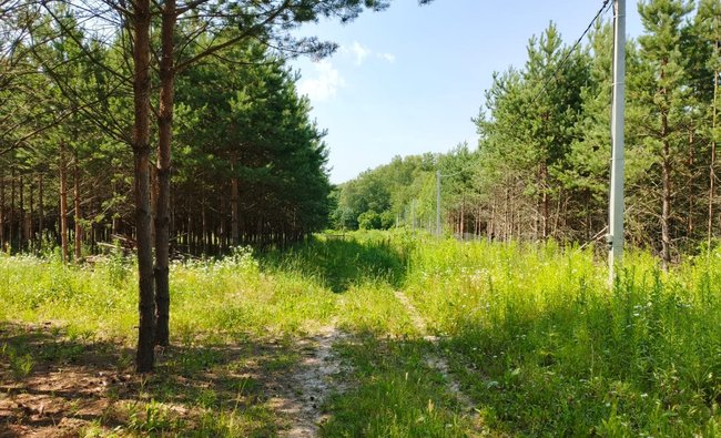 Тульская обл, Заокский р-н, село Покровское