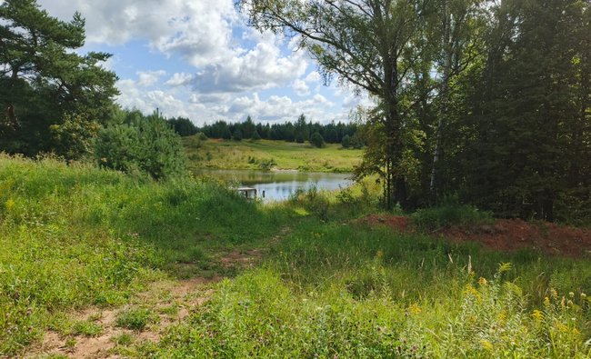 Тульская обл, Заокский р-н, село Покровское
