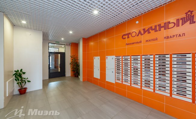 Студия в г. Балашиха